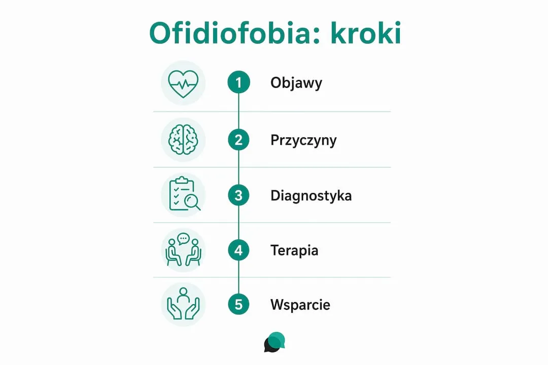 Infografika pokazująca, jak krok po kroku radzić sobie z lękiem przed wężami