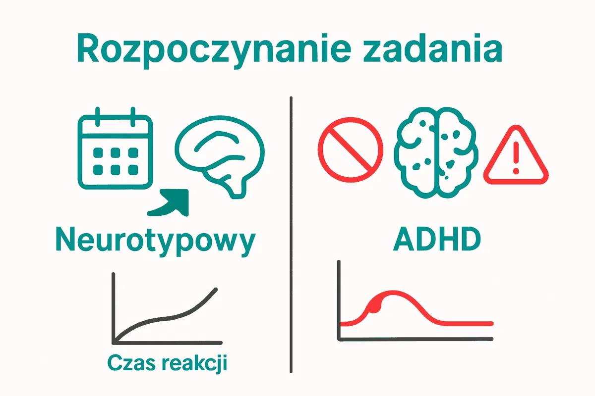 Porównanie mózgu neurotypowego i ADHD przy prokrastynacji