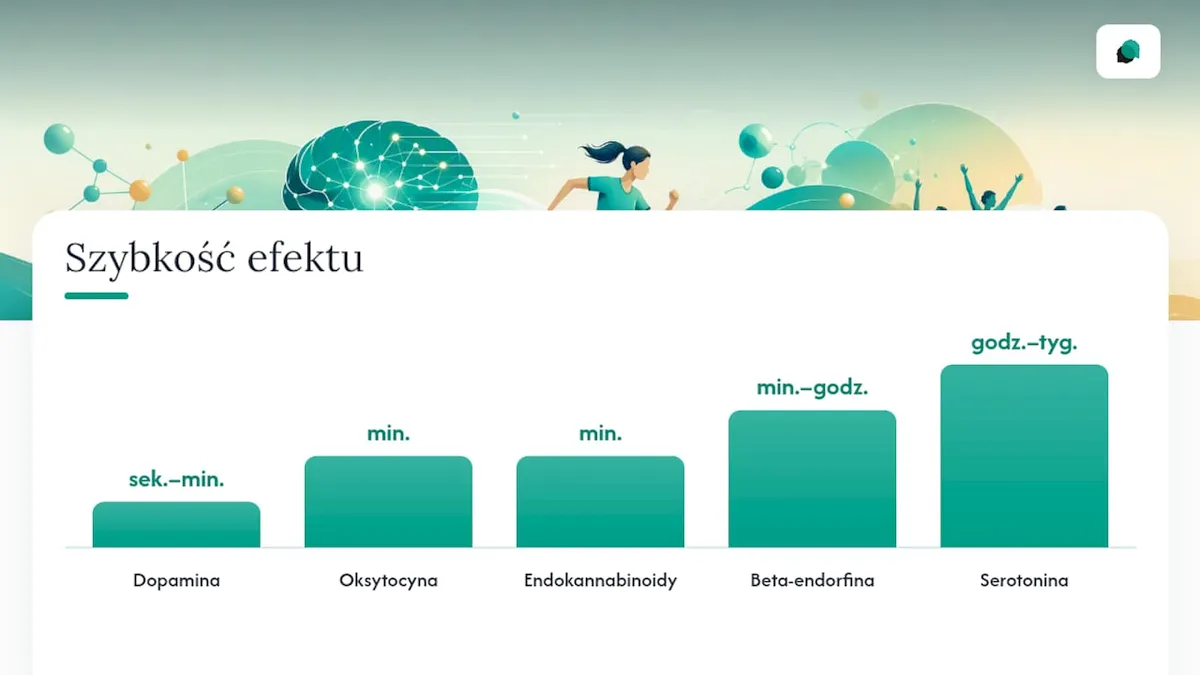 Zestawienie pięciu neuroprzekaźników i hormonów - porównanie ich roli i działania