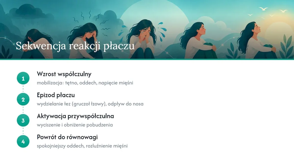 Kolejność fizjologicznych faz płaczu